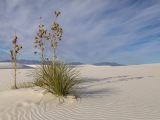 White Sands National Park