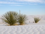 White Sands National Park