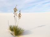 White Sands National Park