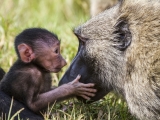 Africa2012-32