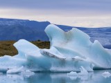 Jökulsárlón Lagoon