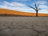 Deadvlei - Namib-Naukluft National Park