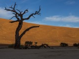 Deadvlei - Namib-Naukluft National Park