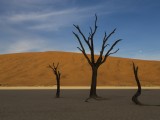 Deadvlei - Namib-Naukluft National Park