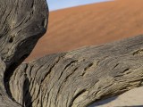 Deadvlei - Namib-Naukluft National Park