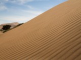 Namib Sand Dunes