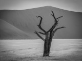 The eerie moments in Deadvlei