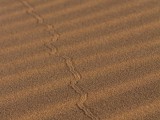 The amazing textures of the dunes