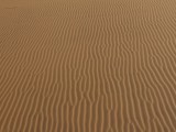 The amazing textures of the dunes