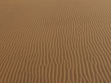 The amazing textures of the dunes