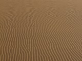 The amazing textures of the dunes