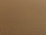 The amazing textures of the dunes