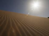 Dune Textures