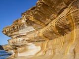 Maria Island Painted Cliffs