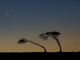 Sunset over Maria Island