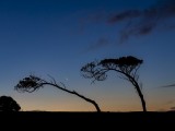 Sunset over Maria Island