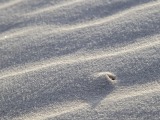 White Sands New Mexico