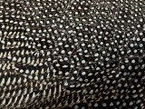 Helmeted Guineafowl Texture