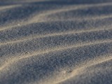 Sand Textures