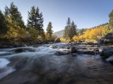 Fall in Yellowstone National Park