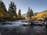 Fall in Yellowstone National Park