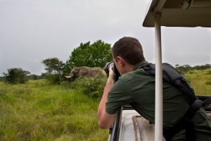 Capturing a shot of an African Savannah Elephant in Queen Elizabeth National Park - Uganda